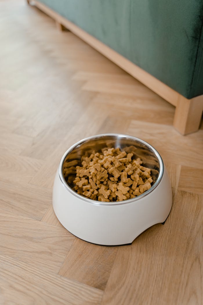 A bowl filled with dog food placed on a wooden floor, showcasing pet care essentials.